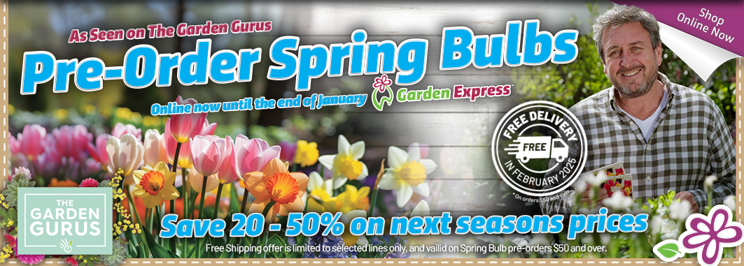 Pre-Order Spring 'Flowering' Bulbs - Garden Express Australia