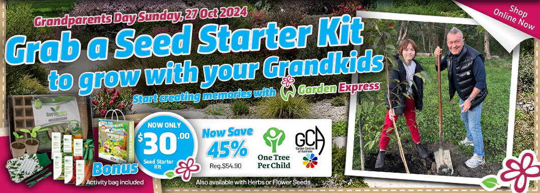 Grandparents Day Seed Starter Kits - Garden Express Australia