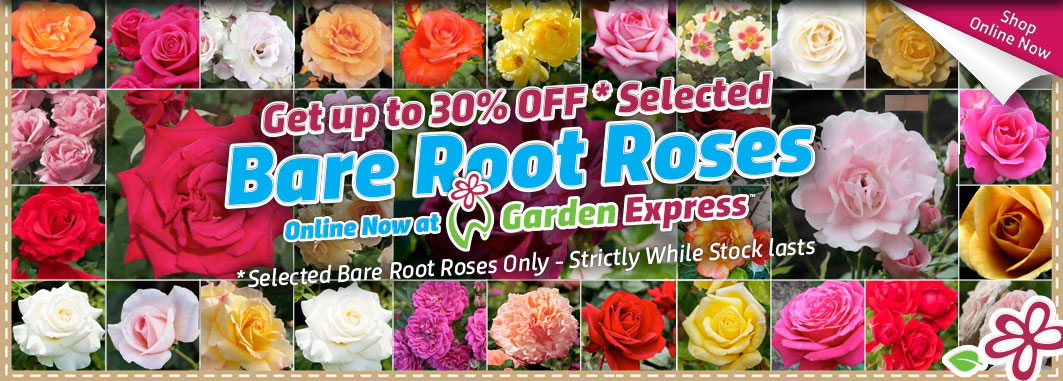 30% OFF Selected Roses - Garden Express Australia