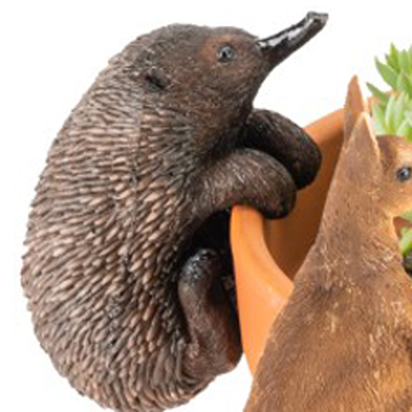 Aussie Animals Pot Sitter- Echidna