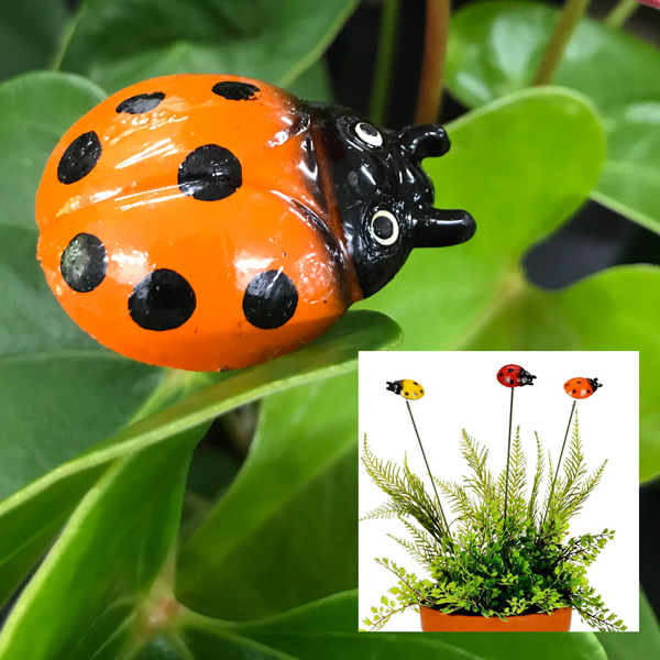 Ladybird On Stick- Orange