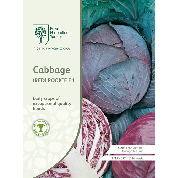 Seed – Rhs Cabbage Red Rookie F1