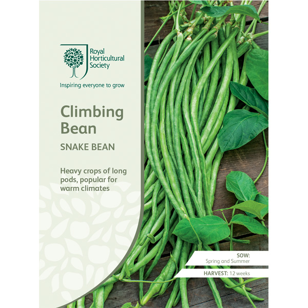 Seed – Rhs Climbing Bean Snake Bean
