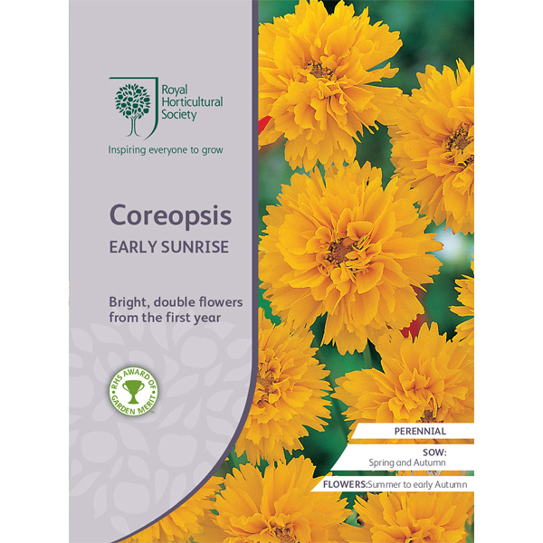 Seed – Rhs Coreopsis Early Sunrise