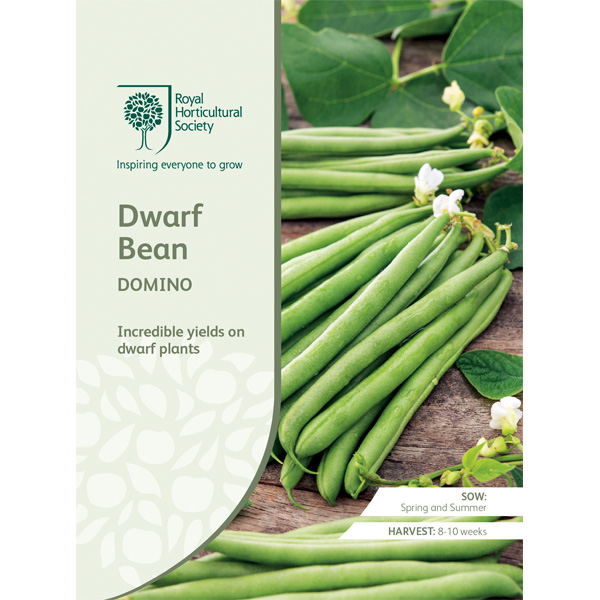 Seed – Rhs Dwarf Bean Domino