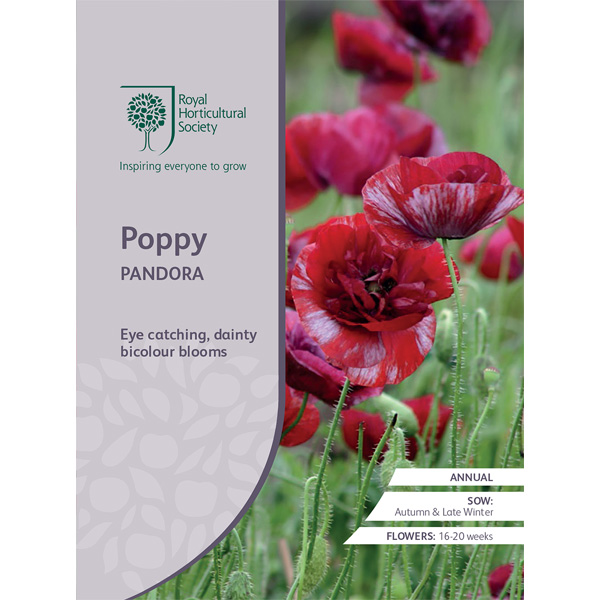 Seed – Rhs Poppy Pandora