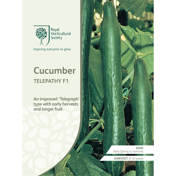 Seed – Rhs Cucumber Telepathy F1
