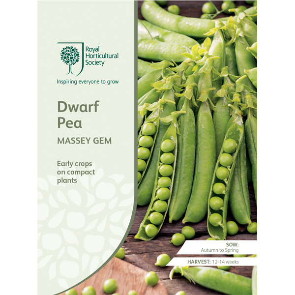 Seed – Rhs Dwarf Pea Massey Gem