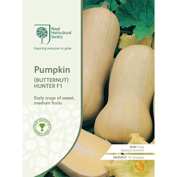 Seed – Rhs Pumpkin (butternut) Hunter F1
