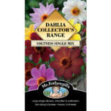 Dahlia Coltness Single Mix Seedahcsm - Garden Express Australia