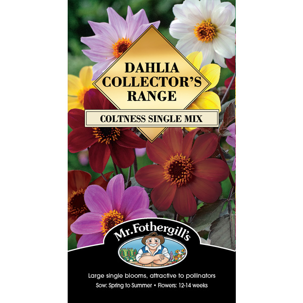 Seed – Dahlia Coltness Single Mix