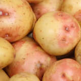 Certified Seed Potato King Edward 500g