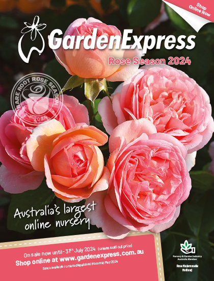 Roses Cat 2024 Rp - Garden Express Australia