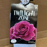 Rose Twilight Zone