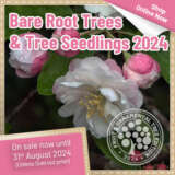 Bare Root Trees & Tree Seedlings 2024