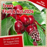 Trees - Fruit & Nut 2024