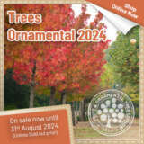Trees - Ornamental 2024