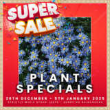 Plant Specials