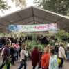 Ge Flower Show - Garden Express Australia