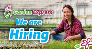 Jobadvert Wholesaledispatch Store 03 02 25 - Garden Express Australia